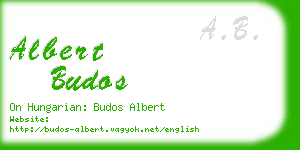 albert budos business card